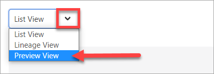 rectangle surrounding drop down and arrow pointing to preview view
