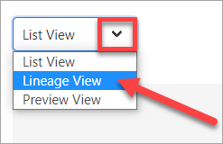 rectangle surrounding drop down and arrow pointing to lineage view