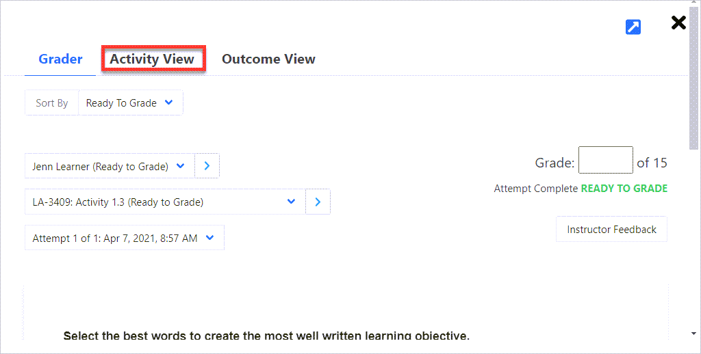 Rectangle surrounding the activity view tab